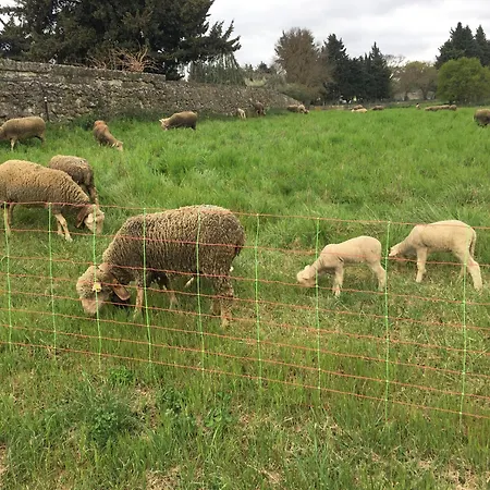 Le D Aurelie Avec Mai-sept En Pleine Campagne Et Proche De Toute Commodite