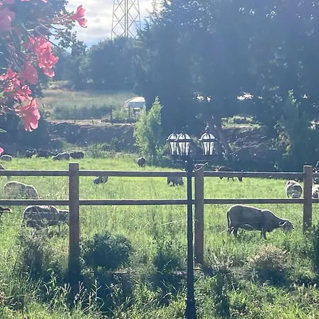 Le D Aurelie Avec Ete En Pleine Campagne Et Proche De Toute Commodite Apartment